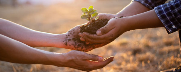 Formation environnement