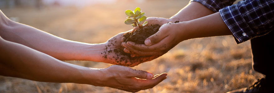 Formation environnement